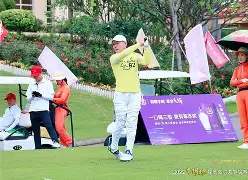 高尔夫邀请赛上演强强对话，吴越霹雳队淘汰对手齐鲁天虎队，战术调整见效；的简单介绍